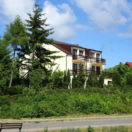 Springbok Проживание в семье