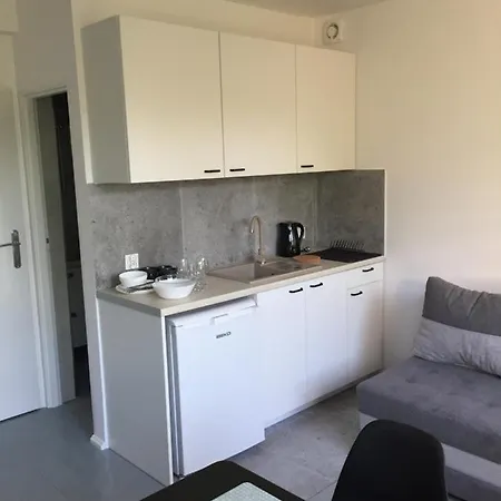 Проживание в семье Springbok